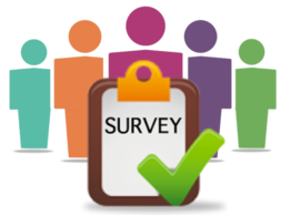 Survey icon