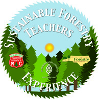 Forestry Opportunity