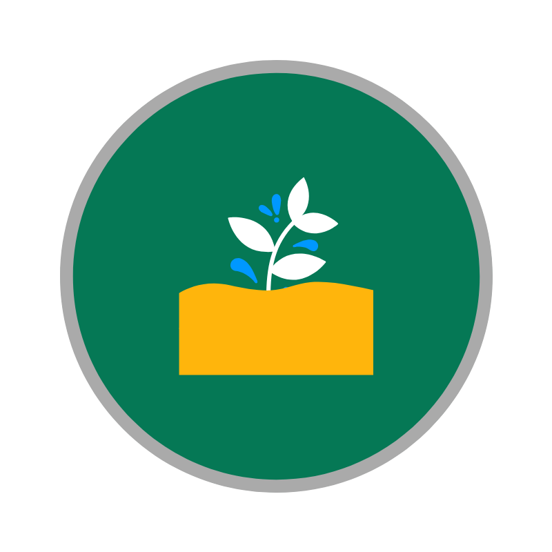 K-20 PD List for World Languages