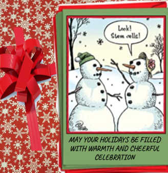 Happy Holidays STEM 2020