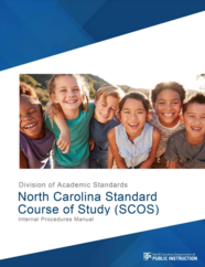 standards revision manual