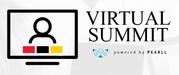 NFLC Virtual Summit