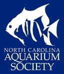 NC Aquarium