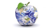 World View Global Education 101