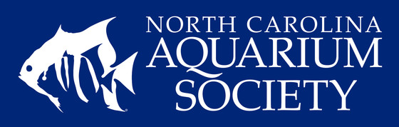 North Carolina Aquarium Society