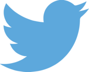 Twitter Bird Image