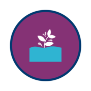 Professional Learning Opportunities