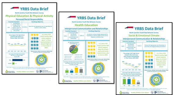 Images of 2023 NC YRBS Data Briefs