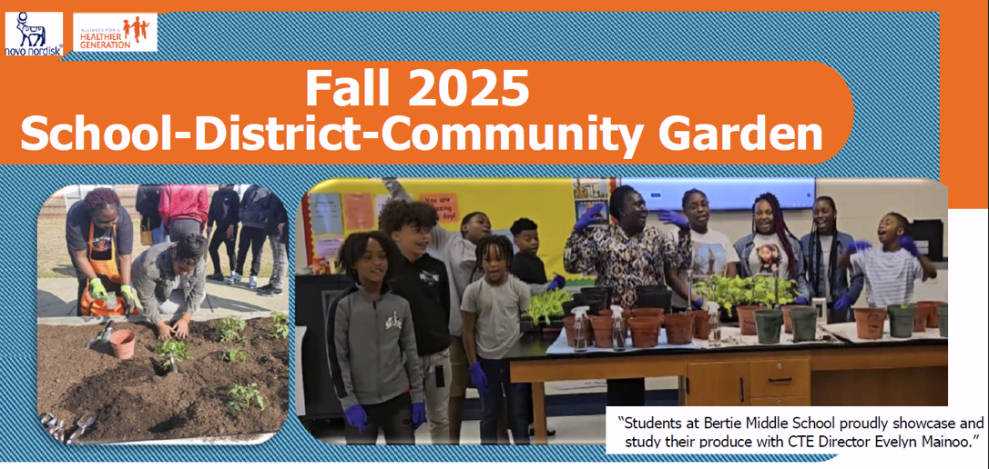 students engaged in school garden projects