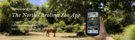 The North Carolina Zoo App