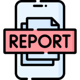 Report