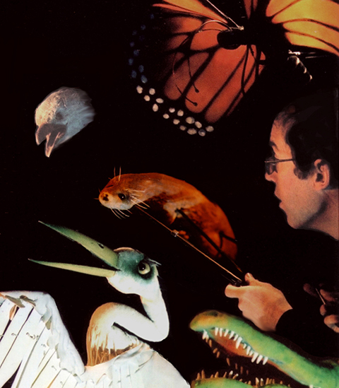 A man holding a baton pointing at an otter who is surrounded by a pelican, alligator, bald eagle, and enormous monarch