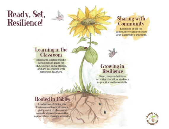 image of flower and 4 core components of RSR