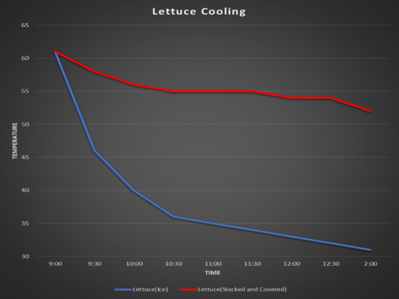 Lettuce cooling chart