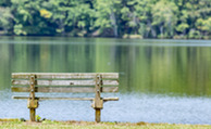 Cane Creek Park Bench