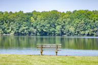 Cane Creek Park Bench
