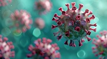 Picture of norovirus