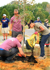 Planting a tree demonstration