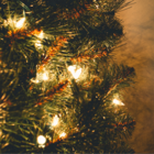 Unionville Christmas Parade and Tree Lighting