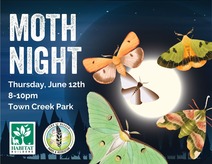 Moth Night