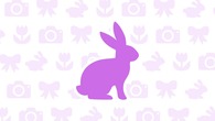 Easter Bunny Photos