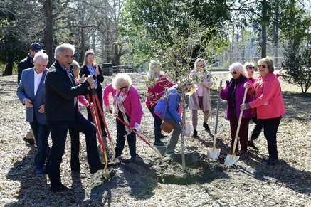 Centennial Pictures - Greenfield Park