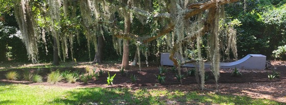 Residential Rain Garden Installed in 2025
