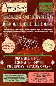 Train of lights image