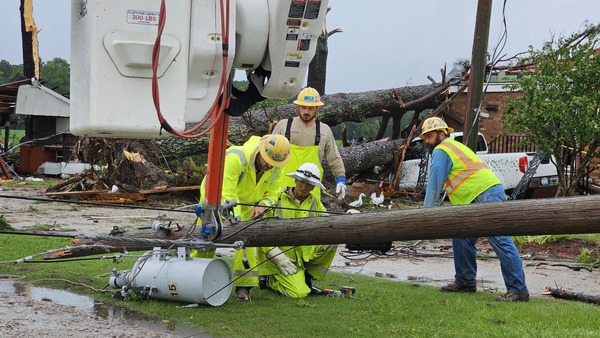 tropical storm debby response image