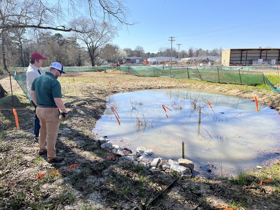 looking over park mercer