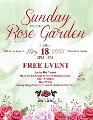 sunday in the rose garden image