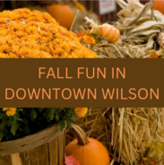 fall fun in downtown wilson image