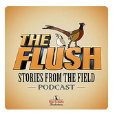 The Flush Podcast