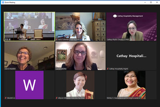 Screenshot of panel meeting