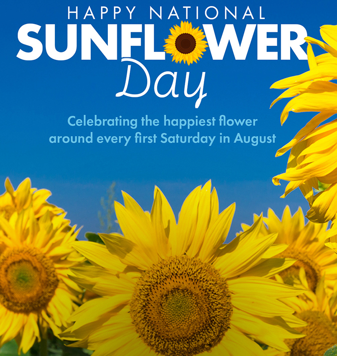National Sunflower day promo