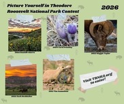 Theodore Roosevelt National Park collage of wildlife photographs on green square background