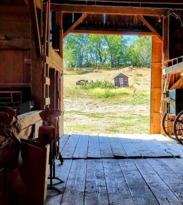 Looking out from the shadowed wooden floor of a rustic barn toward a sunlit field with a small shed in the distance