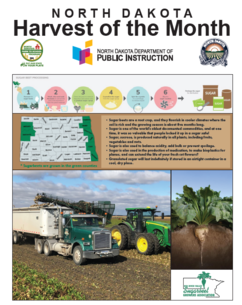 SUGARBEET HARVEST OF MONTH