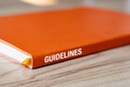 guidance guide guidelines 