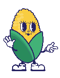 Corn cob