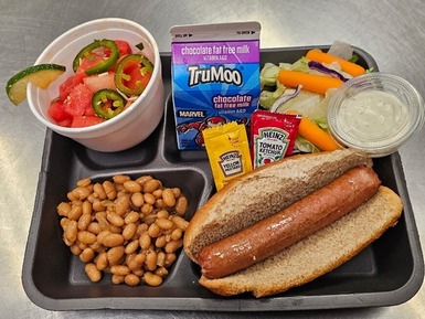 lunch tray