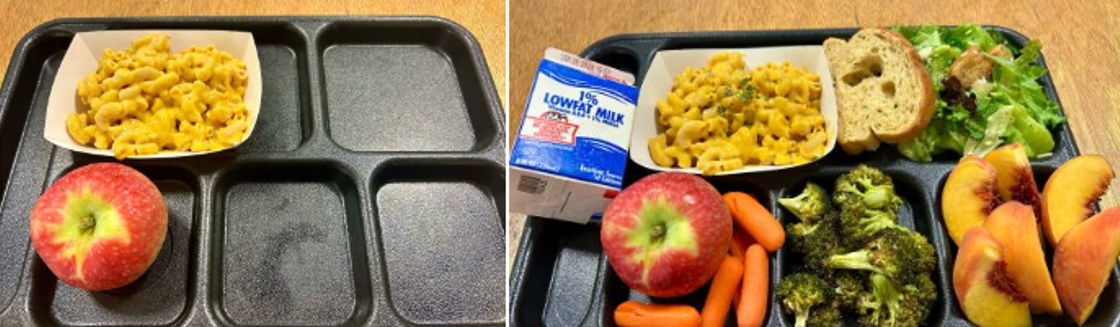 comparison of lunch tray