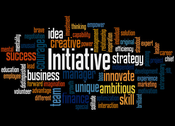 Initiative Word Cloud