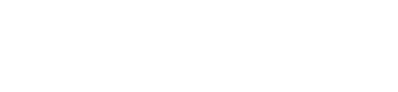 Surplus Logo