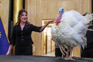 Lt. Gov. Michelle Strinden pardons a turkey at the Capitol for Thanksgiving