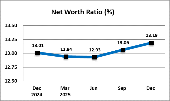 Net Worth Ratio