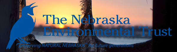 NET banner image overlapping 