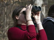 Woman bird watching with binoculars