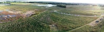 Marsh Wren Pano
