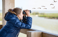 Girl watching birds through binoculars